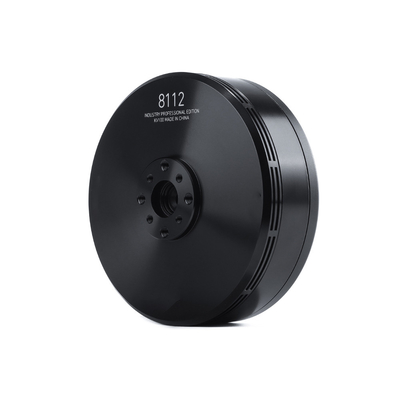8112 IPE 100KV Brushless DC Motor