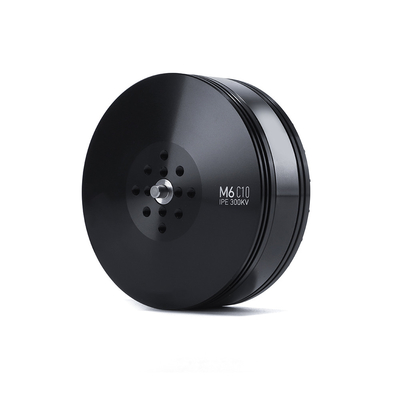 Anticorrosive M6C10 IPE Brushless DC Motor